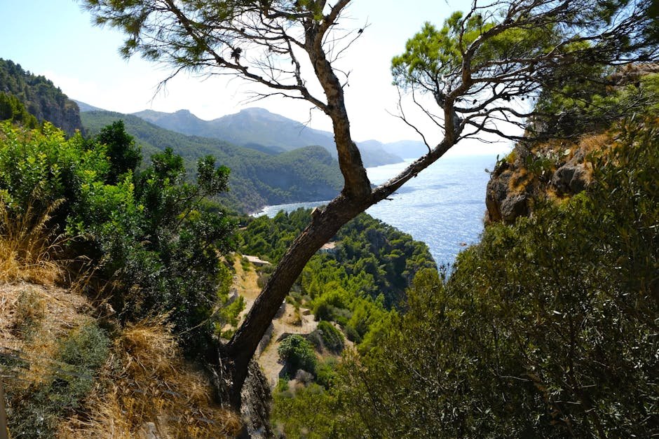 Actividades de ocio en Palma de Mallorca