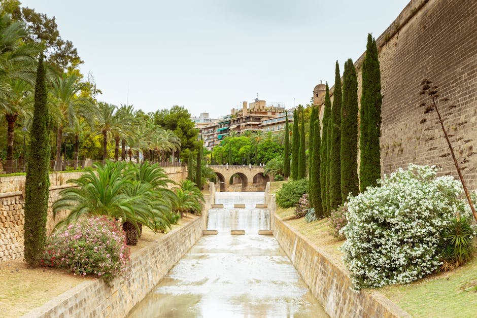 Actividades educativas y culturales en Palma de Mallorca
