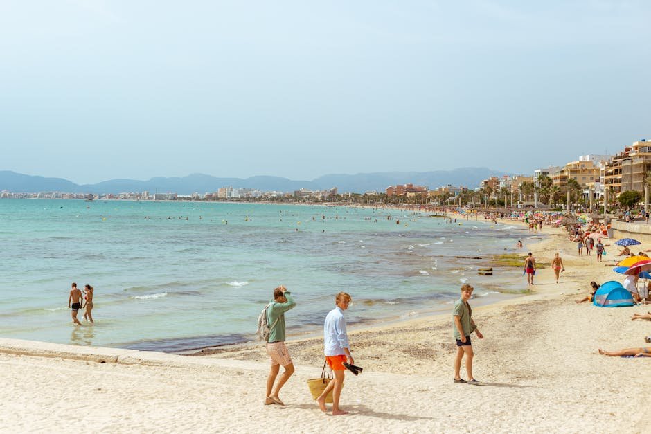 Cita para matrimonio civil en Palma de Mallorca: cómo y dónde pedirla