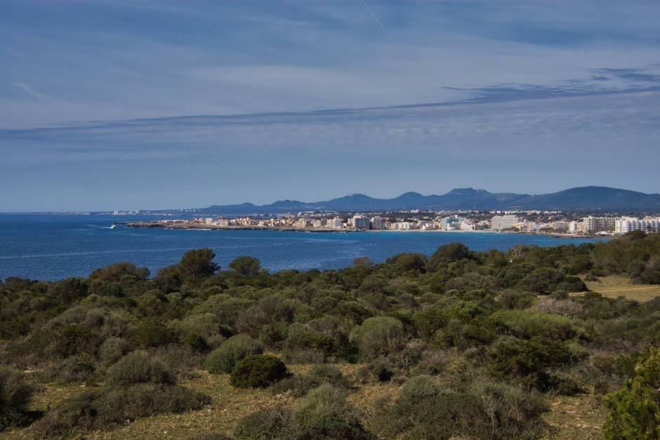 Alquiler de trasteros en Palma de Mallorca