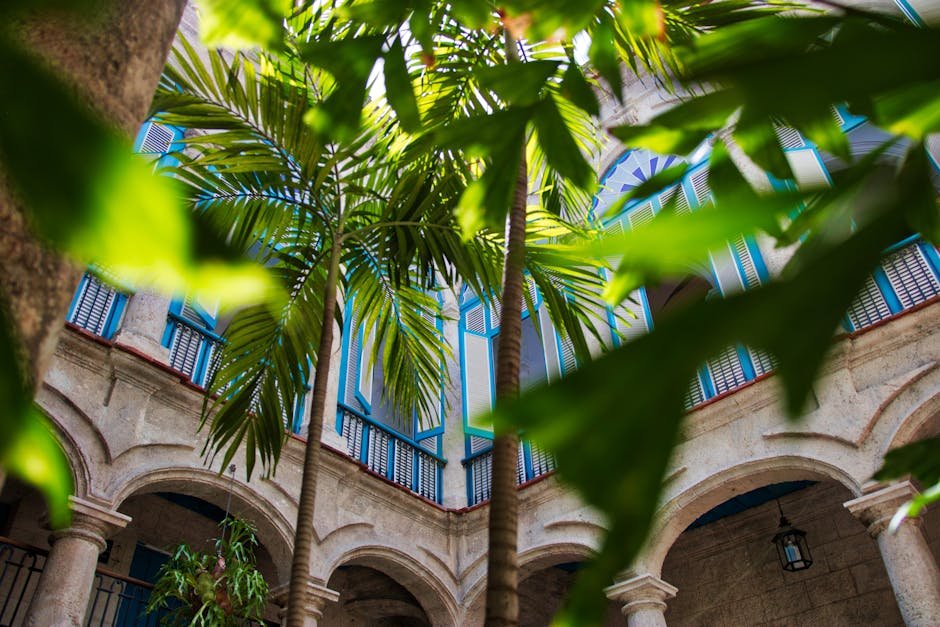 El clima en Palma de Mallorca: pronóstico y consejos