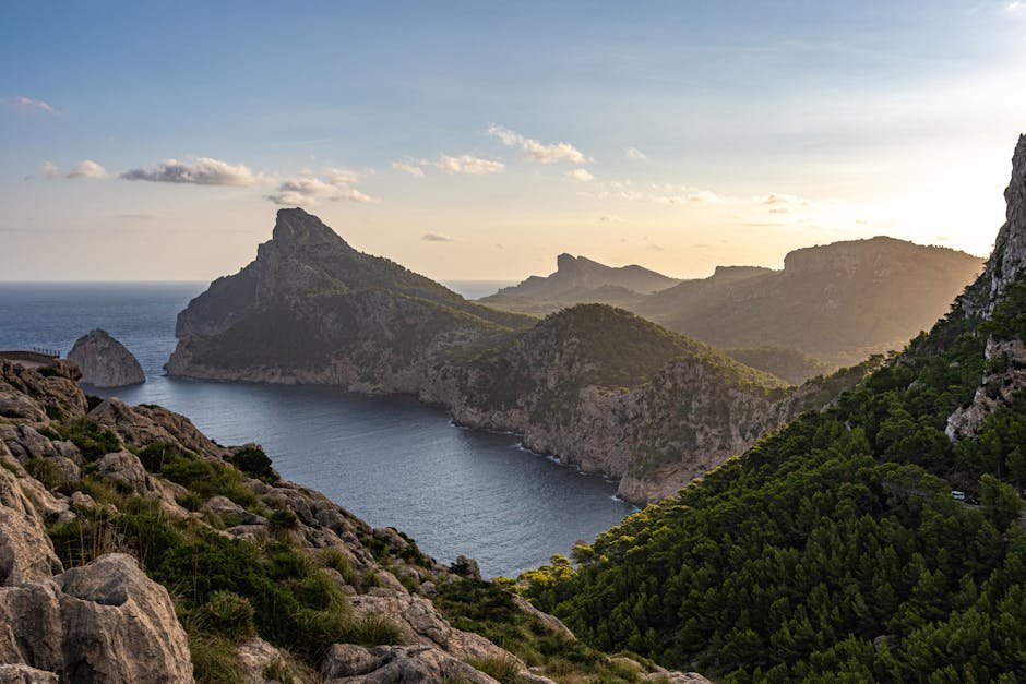 Historia de Palma de Mallorca