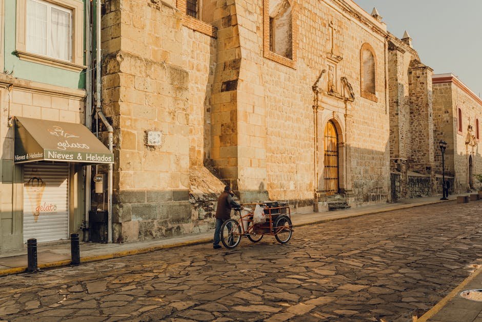 Limpieza y medio ambiente en Palma de Mallorca: servicios y recursos