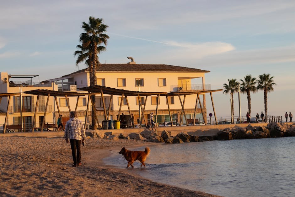 Mejores arquitectos en Palma de Mallorca