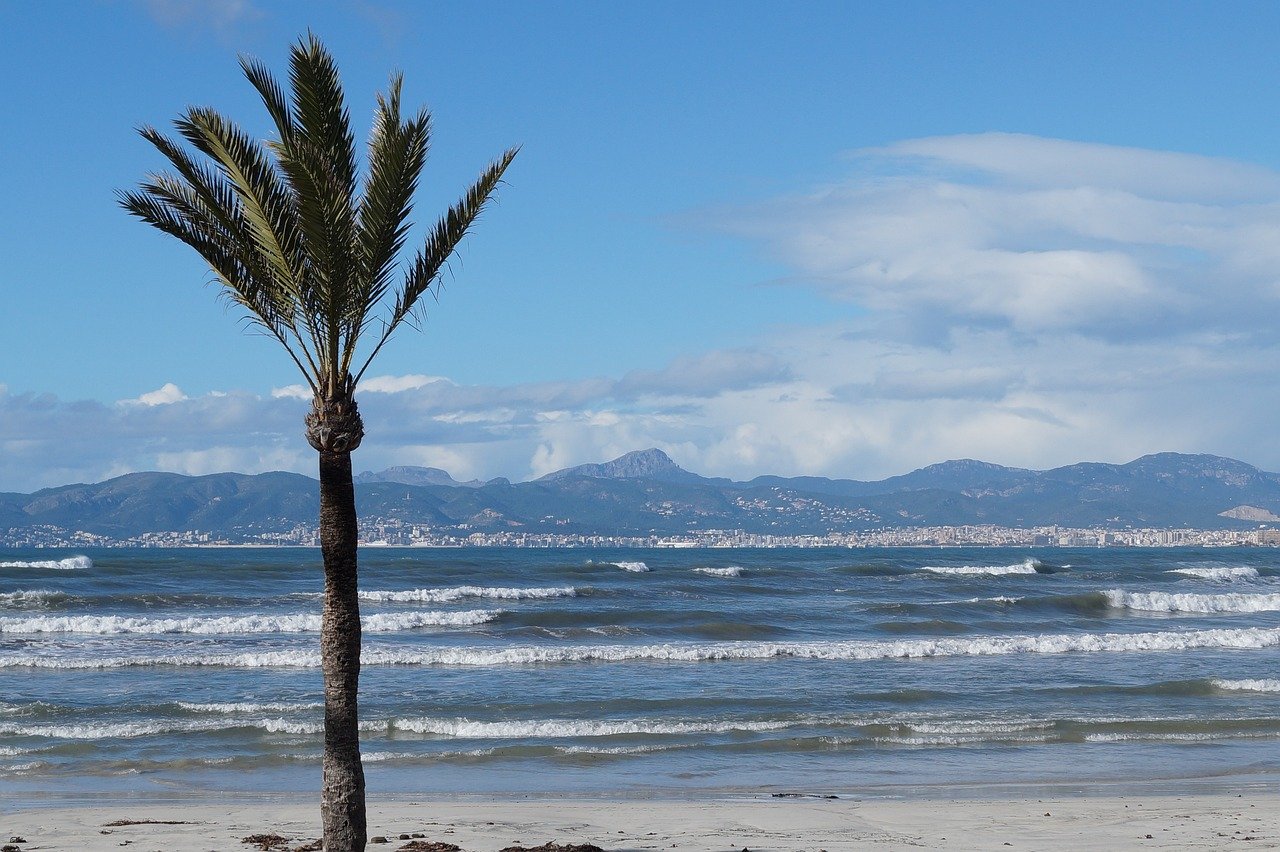 Mejores dentistas en Palma de Mallorca