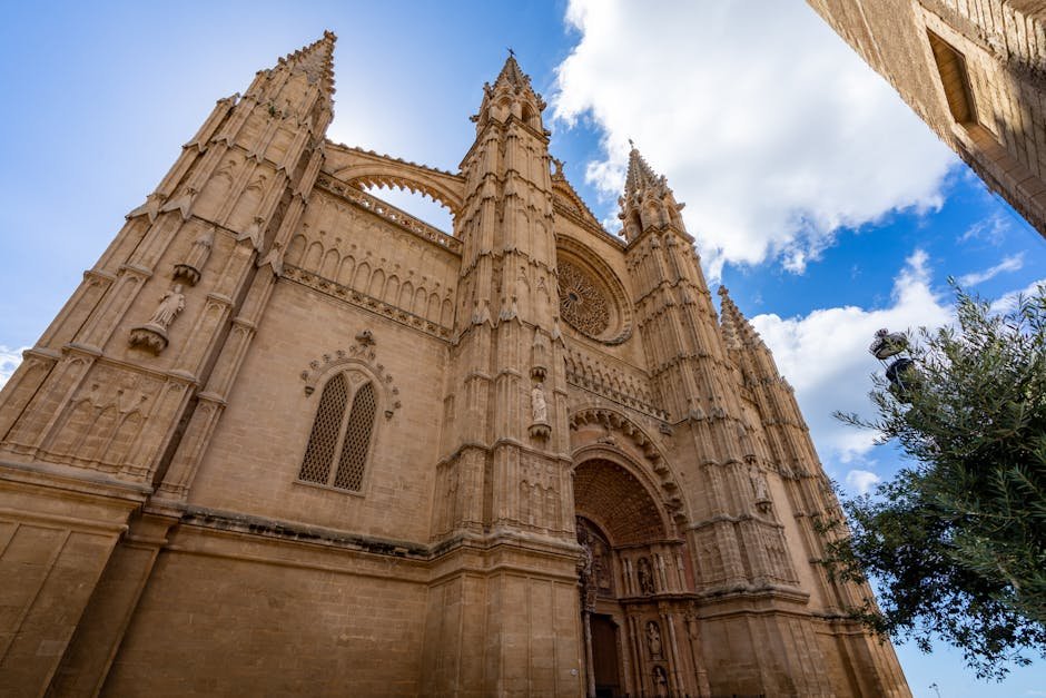 Residencias para mayores en Palma de Mallorca: opciones y opiniones
